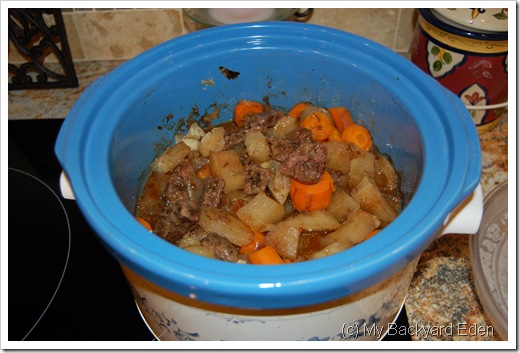 beef stew 005 beef stew 005