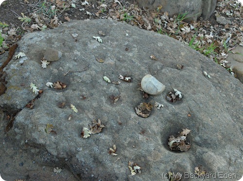 Bedrock Mortar Alviso Adove