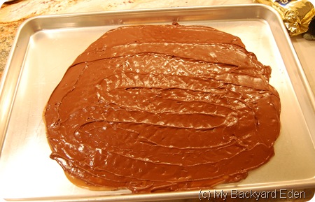 toffee and chocolate