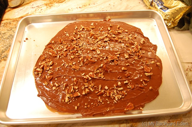[toffee 016[8].jpg]