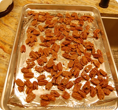 spiced pecans