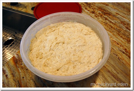 High moisture dough High moisture dough