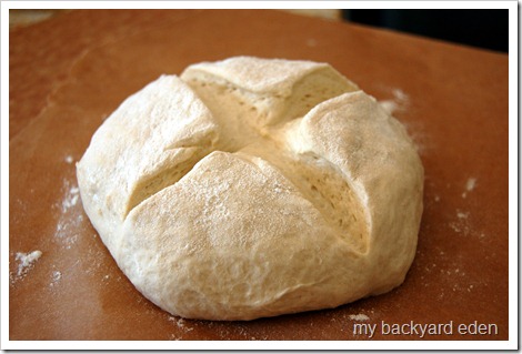 Slashed dough ready for baking Slashed dough ready for baking