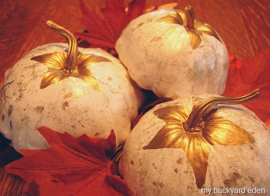 Garden Fall Centerpiece