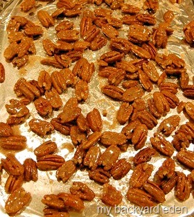 [pecanspan[10].jpg]