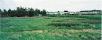 weide.jpg
