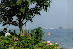 image5.jpg