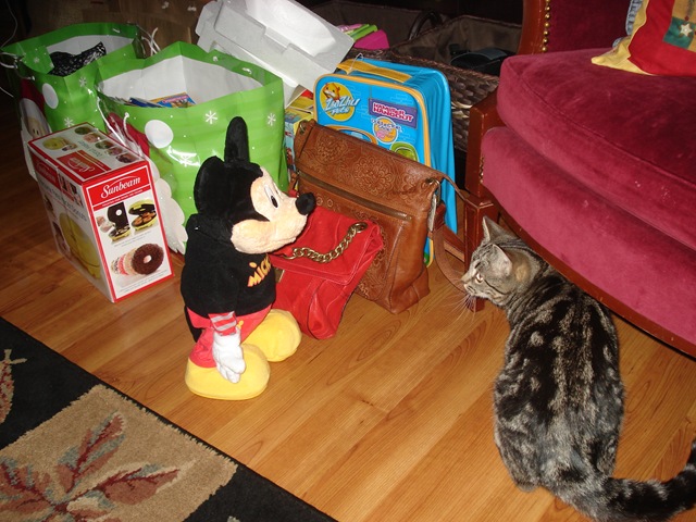 [Christmas 2010 081[4].jpg]
