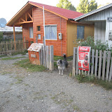 060.JPG