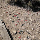 Perhaps the locals were trying to shoot the poltergeist.  I wish they would clean up after themselves.