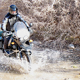 IMG_2483.JPG