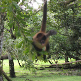 Panama 097.JPG
