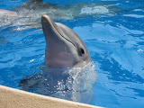 IMG_0533.JPG