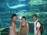 IMG_0577.JPG
