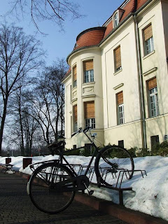 Pałac Alfreda Biedermanna
