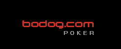 [bodog-logo[6].gif]