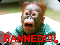 banned-chimp