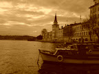 IMG00015-20081208-0734.jpg