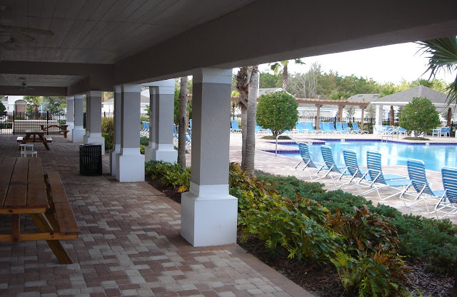 Palm Cove in Wesley Chapel Florida