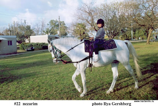 #22nezarim.jpg