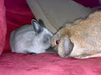 02122008434.jpg