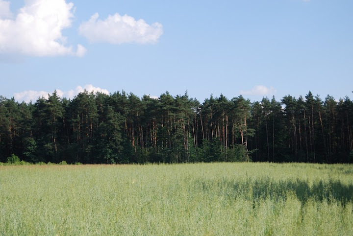 blach0102.jpg
