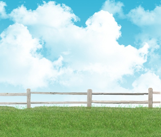 [USED Field_02_by_MadameM_stock[3].jpg]