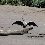 Costa Rica - Pura Vida!