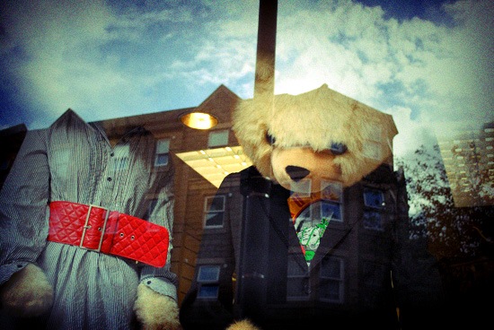 [windowbears[7].jpg]