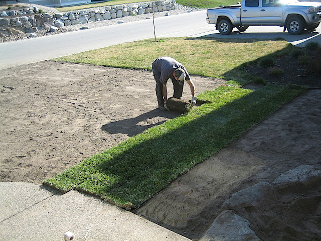 Jeff hard at work laying sod