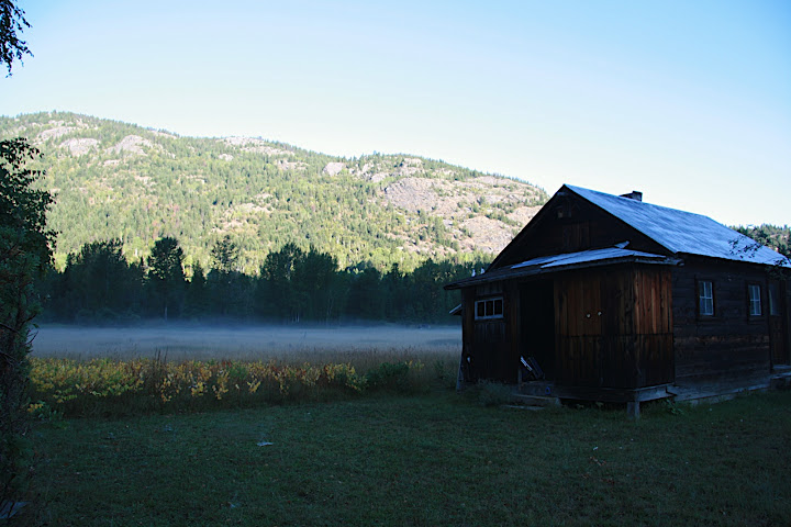 Neighbours shed in the fog