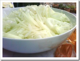 02 - Chopped onions