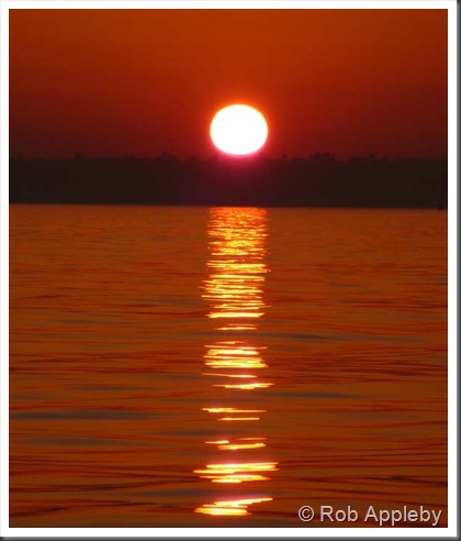 1202 sunset