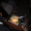 CIMG2504.JPG