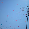 DSCN0795.JPG