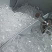 DSCN1181.JPG