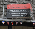  twilight book