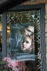  twilight book