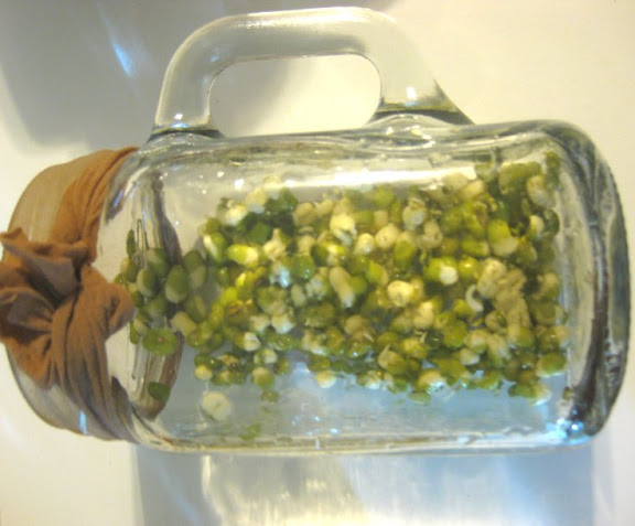 Mung Beans