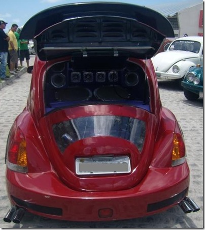 wtfusca (6)