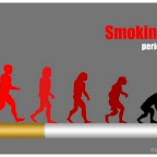 anti-smoking-5342