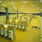 unusual_and_funny_toilets_57