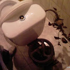 unusual_and_funny_toilets_89