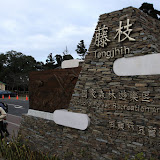 藤枝 藤枝