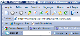 Slim Browser 1