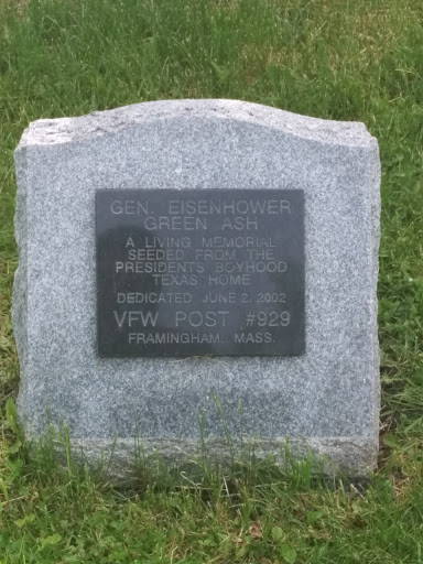 Gen. Eisenhower Green Ash