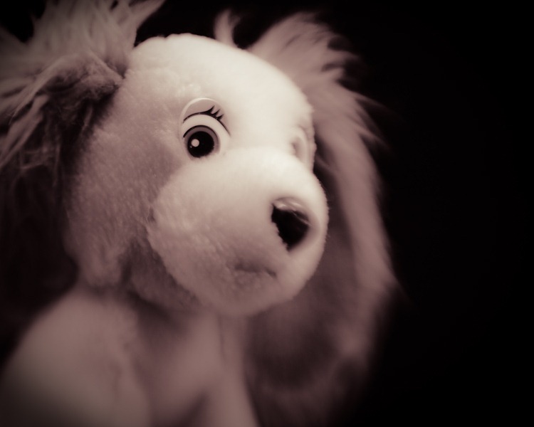 Lensbaby Meets Stuffed Animal