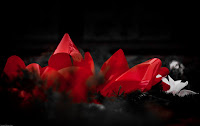 In Memory