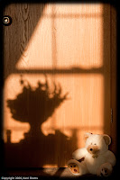 Warming in the Sunrise