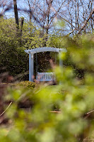 Bench from Afar: (1/1600 sec @ f/2.5; 50mm)